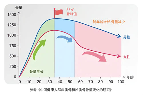 骨質變化表